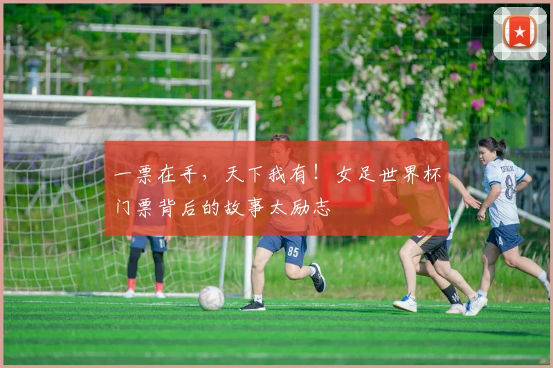 一票在手，天下我有！女足世界杯门票背后的故事太励志