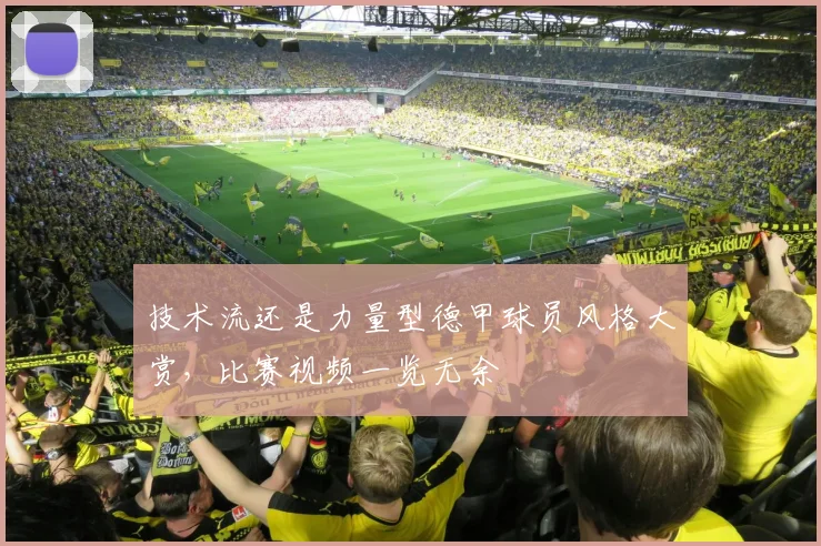 技术流还是力量型德甲球员风格大赏，比赛视频一览无余